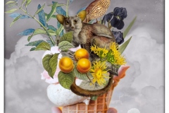 Cool Collage