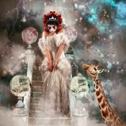 Crazy Dreams