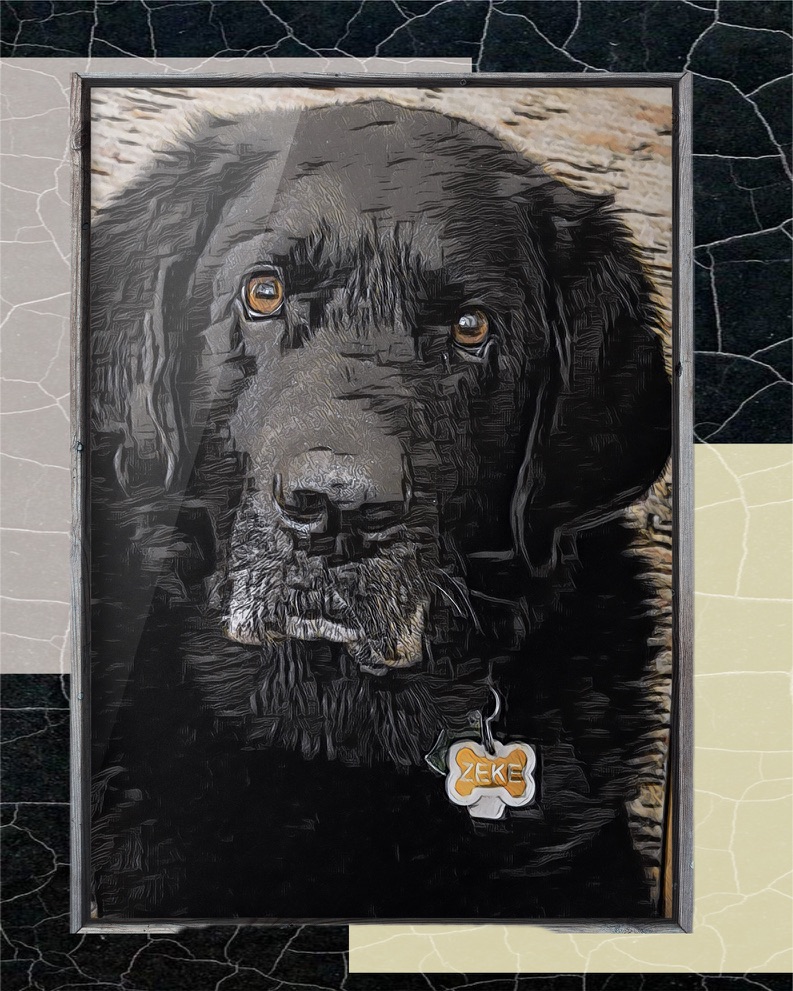 Zeke the Newfie