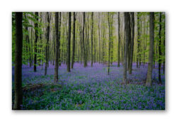 Near Waterloo, Belgium 1992